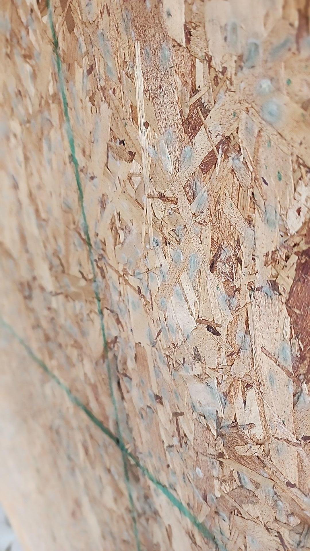 Close-up of mold growth on a wall in a home.