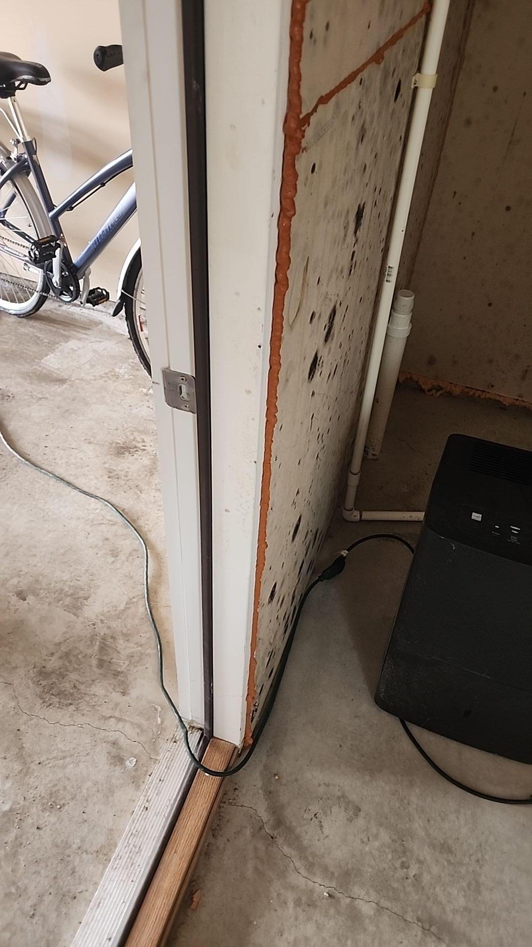 Mold growing on a damp wall in a Harrisville, Michigan home.