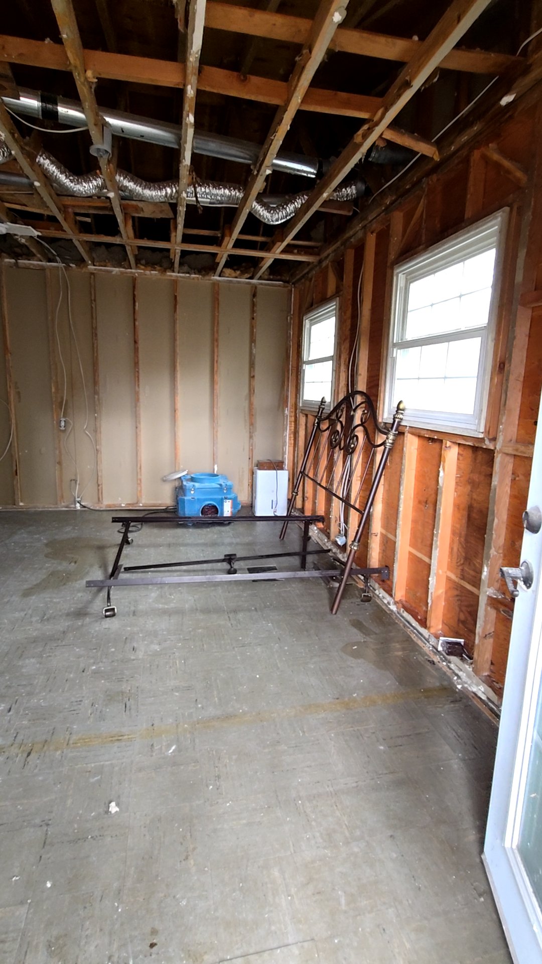 Mold Remediation