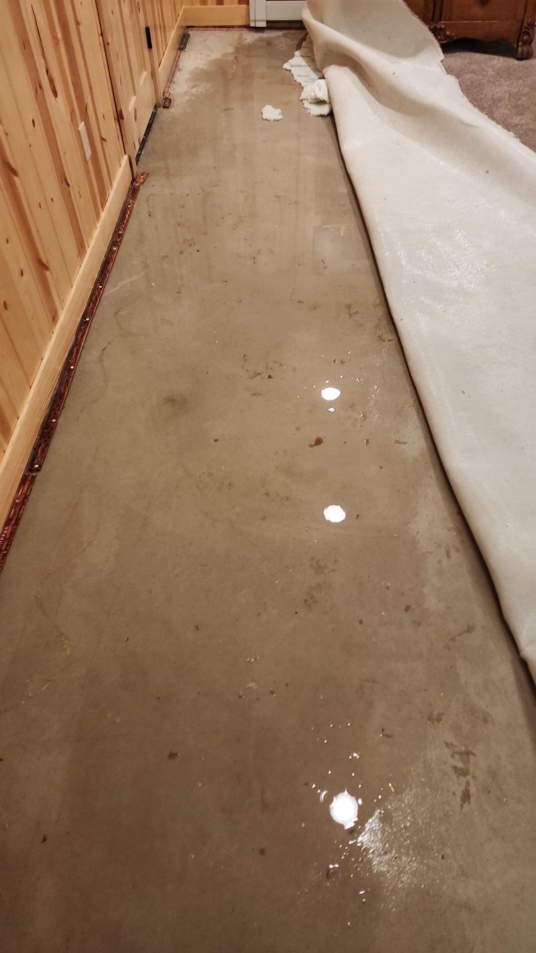 Flooded living room of a Posen, Michigan home with water damage restoration professionals in action.